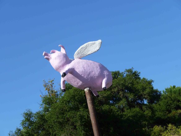 blind pig on a stick