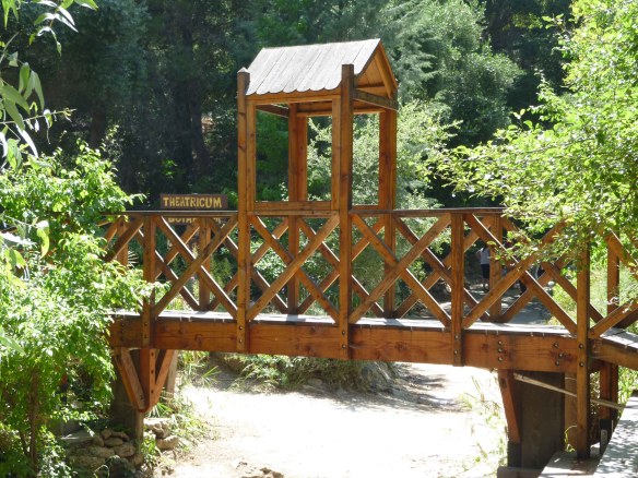 wood bridge
