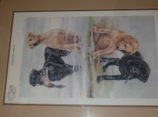 lab print two labs lo res