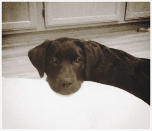 CameraBag_Photo_1000