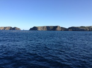 Anacapa in the distance. A perfect February day on the Cali coast. Life is good.
